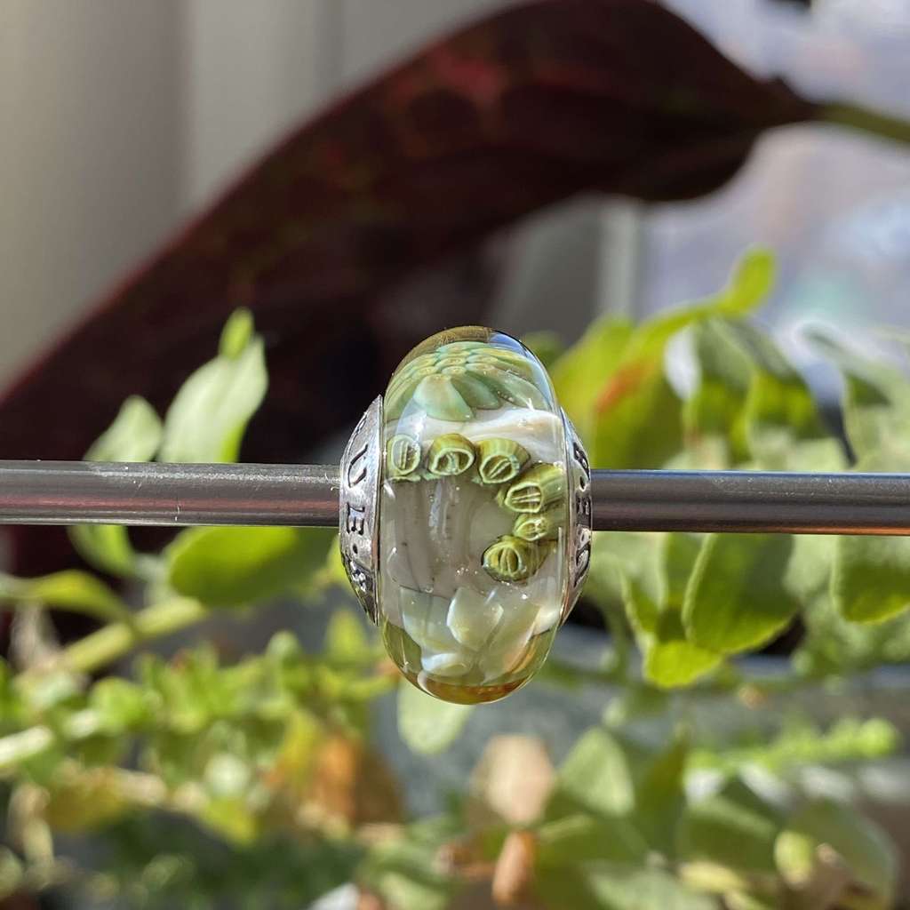 AQUARIUM  23 plants only