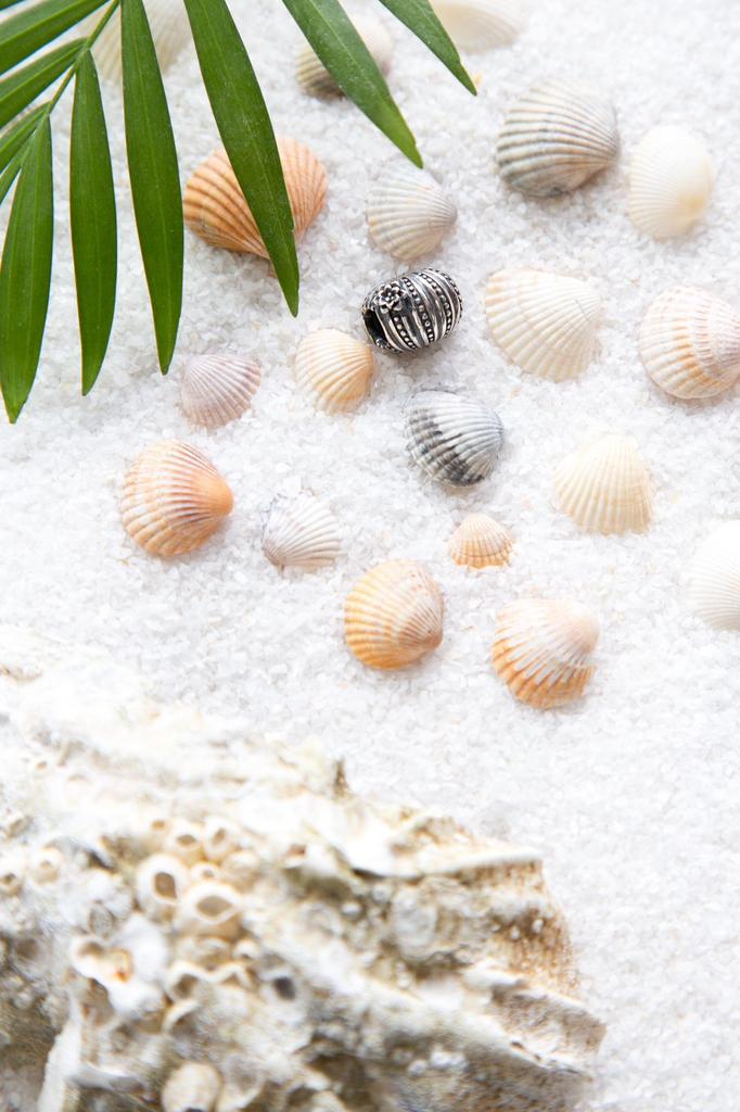 * Cactus + Green Candy Stopper