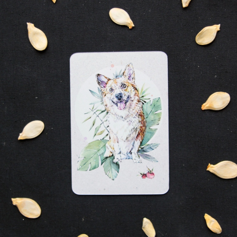 "Корги" - магнит