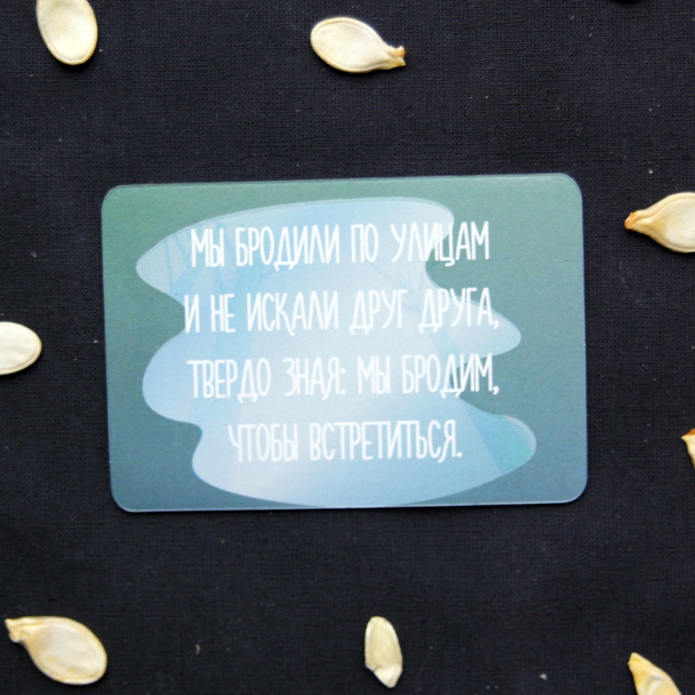 "Кортасар. Лужа" - магнит