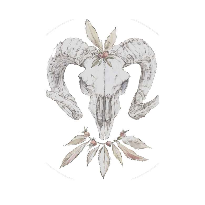 Принт череп козла и перья - женская футболка