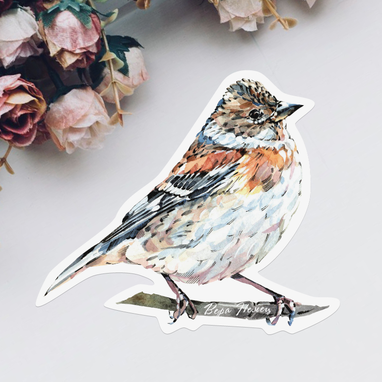 Детские наклейки птичка юрок