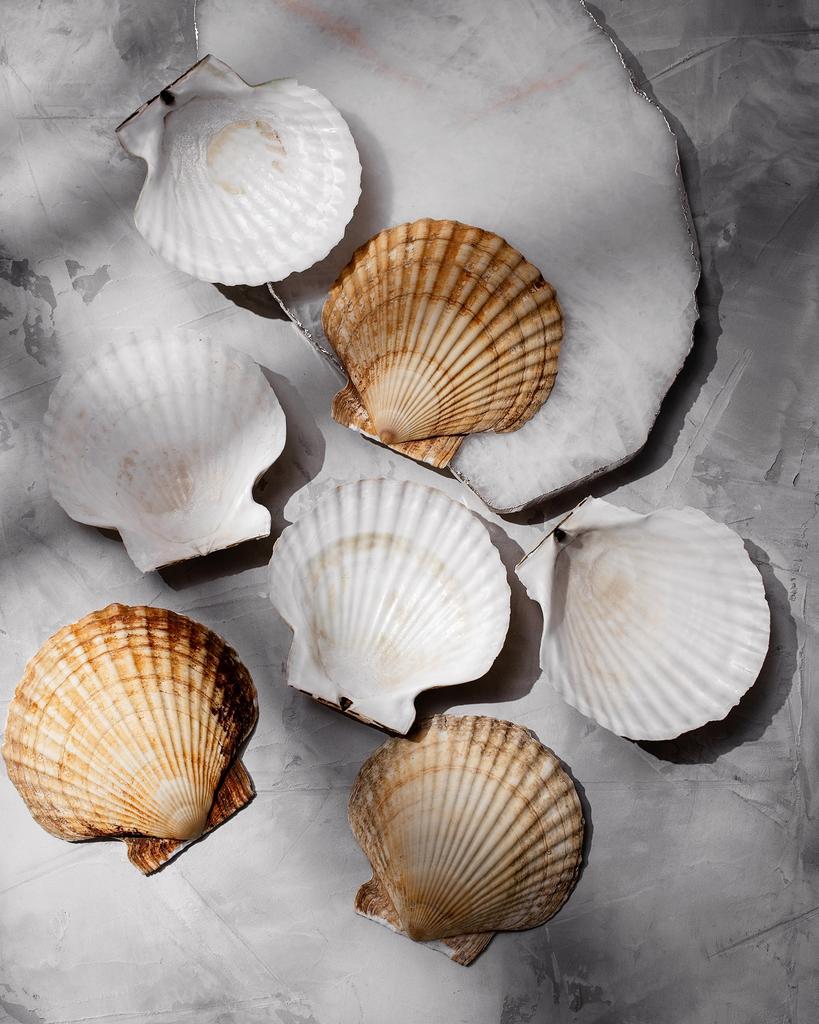 Соусница Ракушка