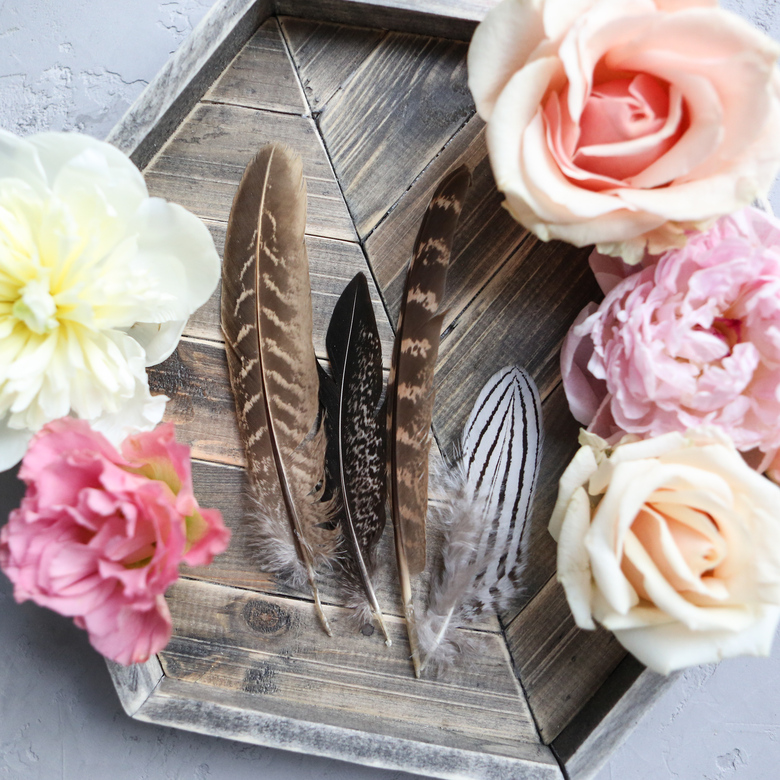 Сет из четырех перьев