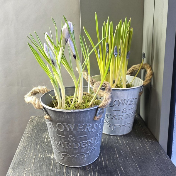 PR-023.  ВЕДЕРКО С ПЕРВОЦВЕТАМИ.