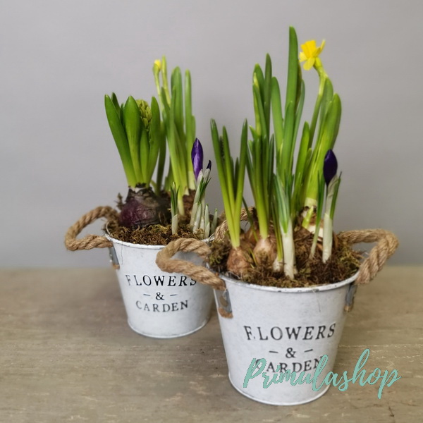 PR-023.  ВЕДЕРКО С ПЕРВОЦВЕТАМИ.