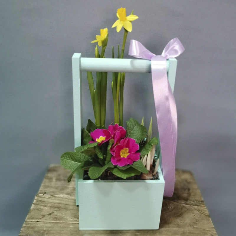 Ящик с примулой и нарциссами