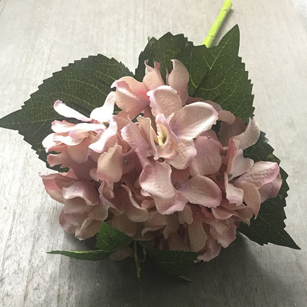 Гортензия розово-сиреневая