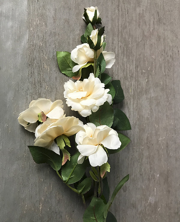 Кустовая роза кремовая