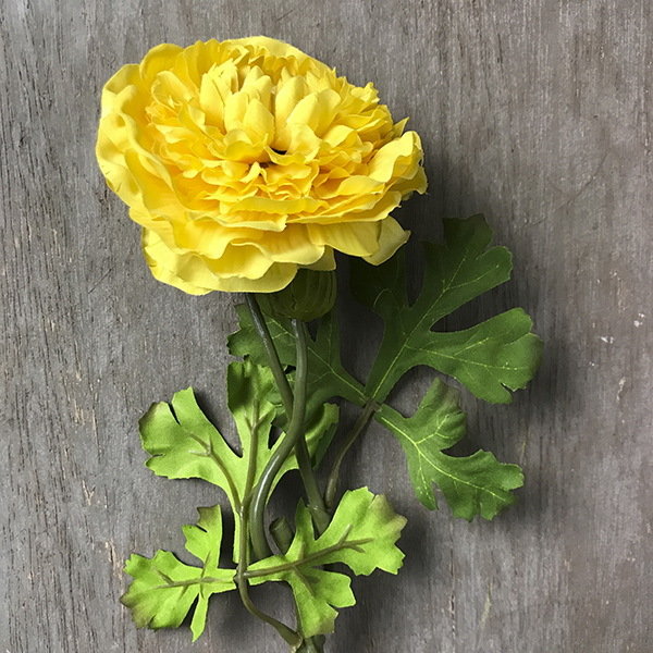 Ранункулюс желтый