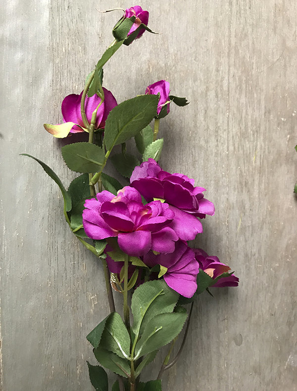 Роза кустовая темно-розовая