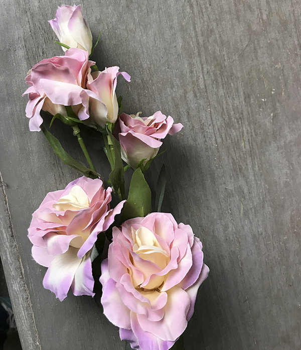 Эустома светло-розовая