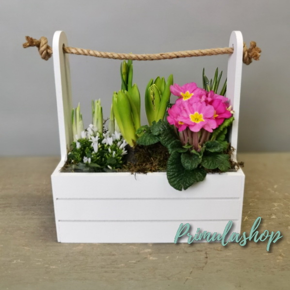 Ящик с первоцветами