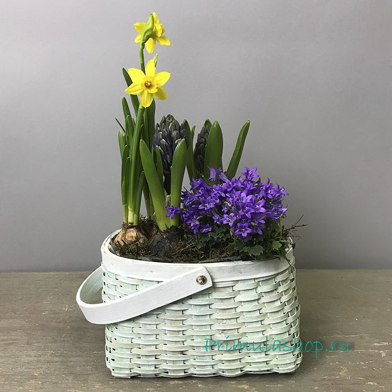 PR-050.  ЗЕЛЕНАЯ КОРЗИНКА С ПЕРВОЦВЕТАМИ