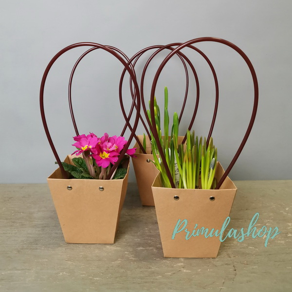 PR-019.  ПЕРВОЦВЕТЫ МИКС В КРАФТОВОЙ СУМОЧКЕ.