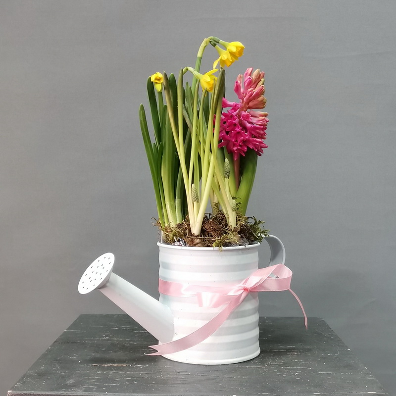 Жестяные лейки с первоцветами