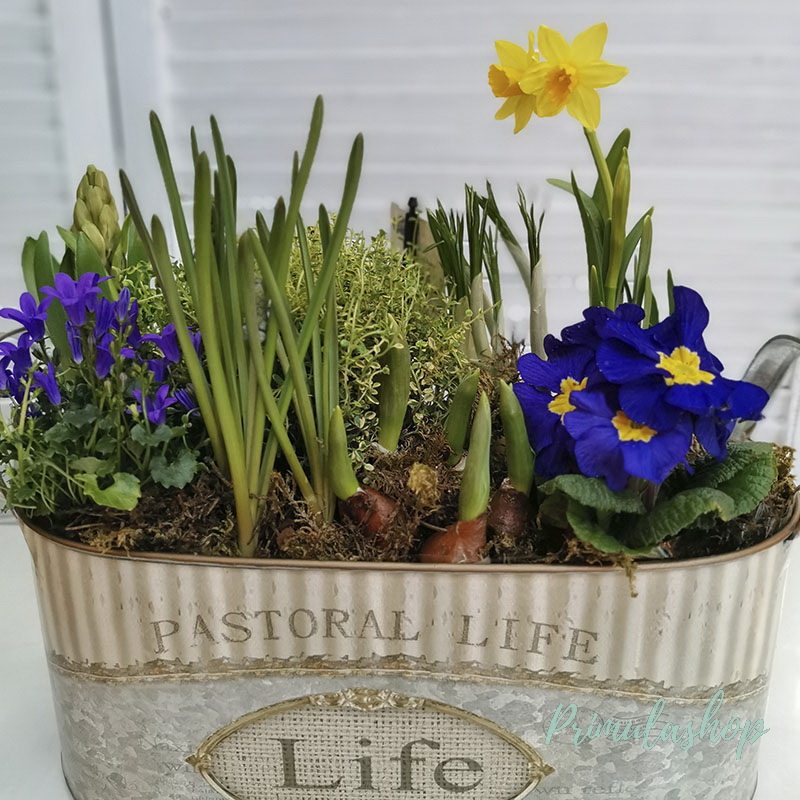 КОМПОЗИЦИЯ С ПЕРВОЦВЕТАМИ