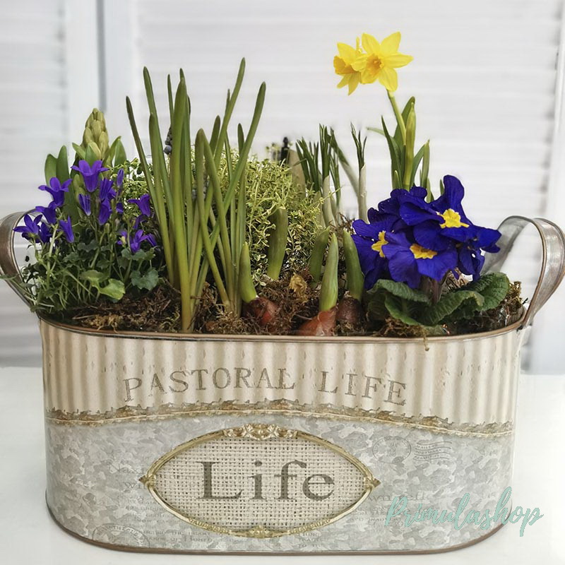 КОМПОЗИЦИЯ С ПЕРВОЦВЕТАМИ