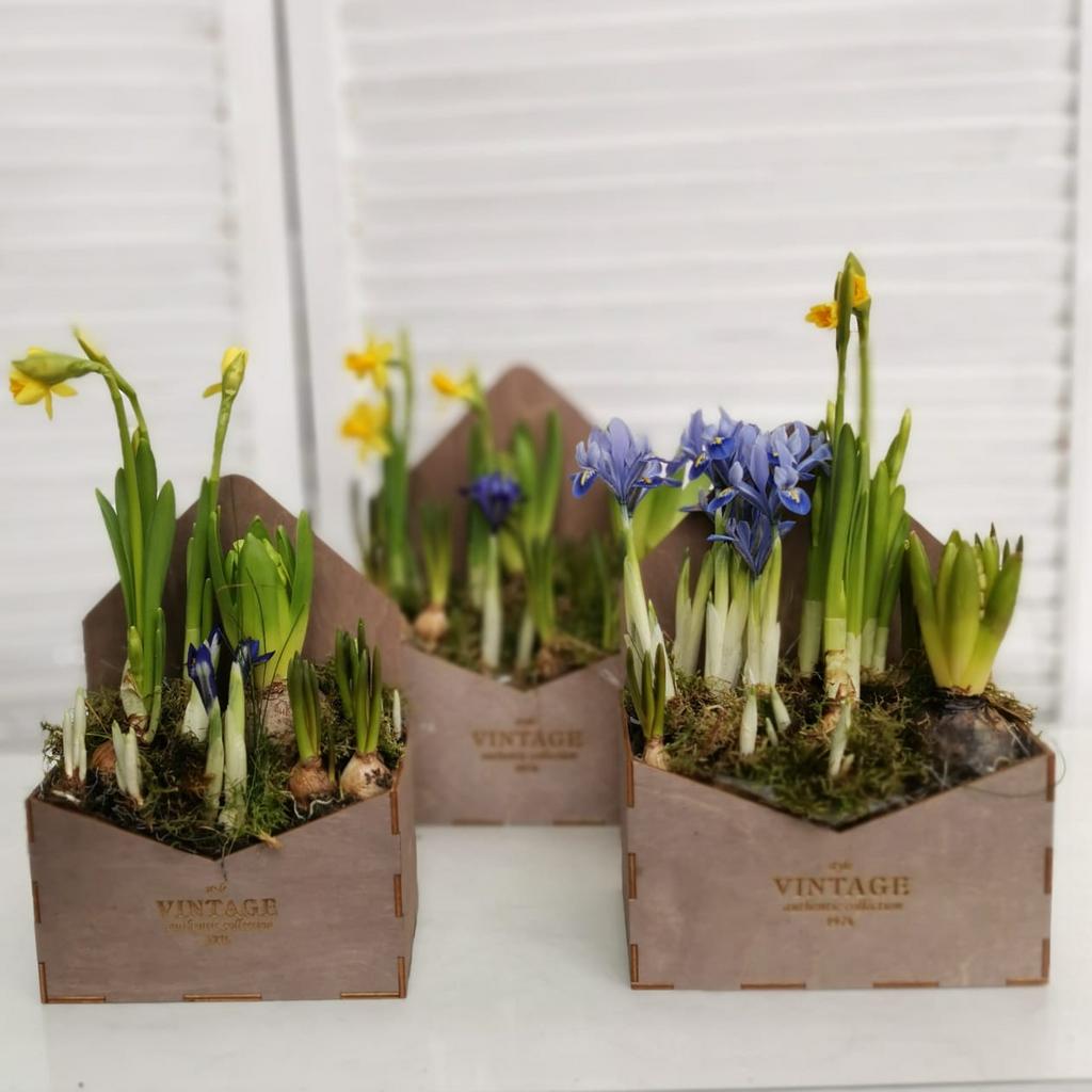 Деревянный конверт-коробка с первоцветами