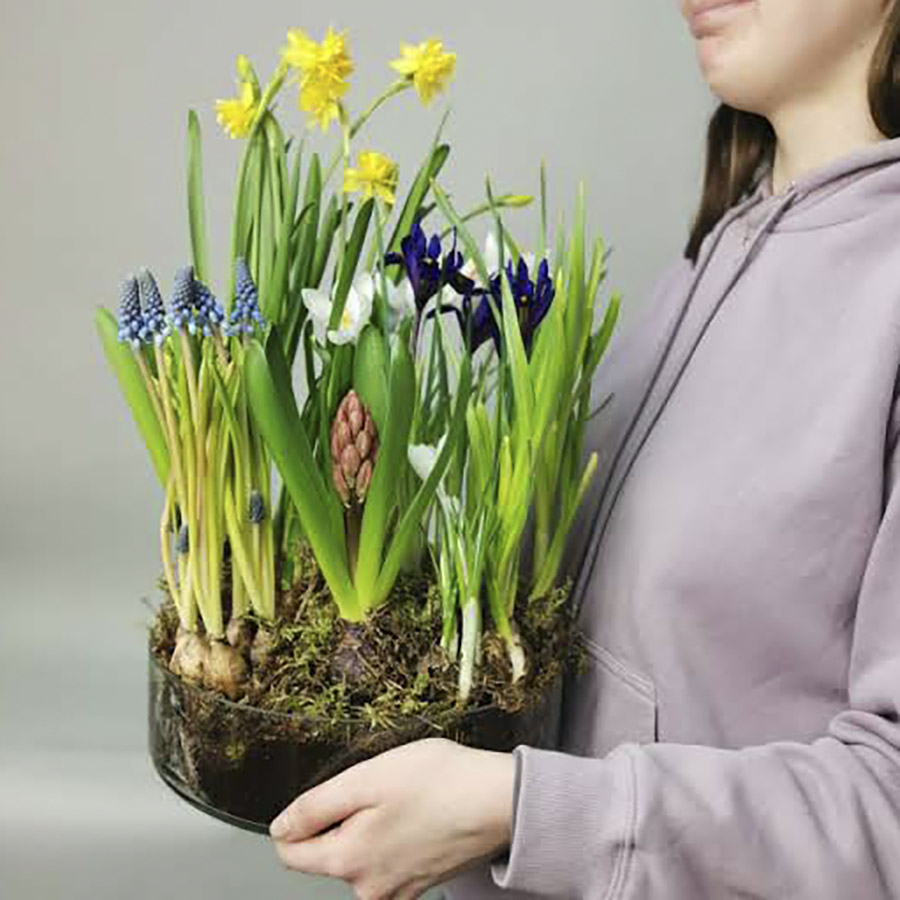 Боул (чаша) с луковичными и первоцветами..