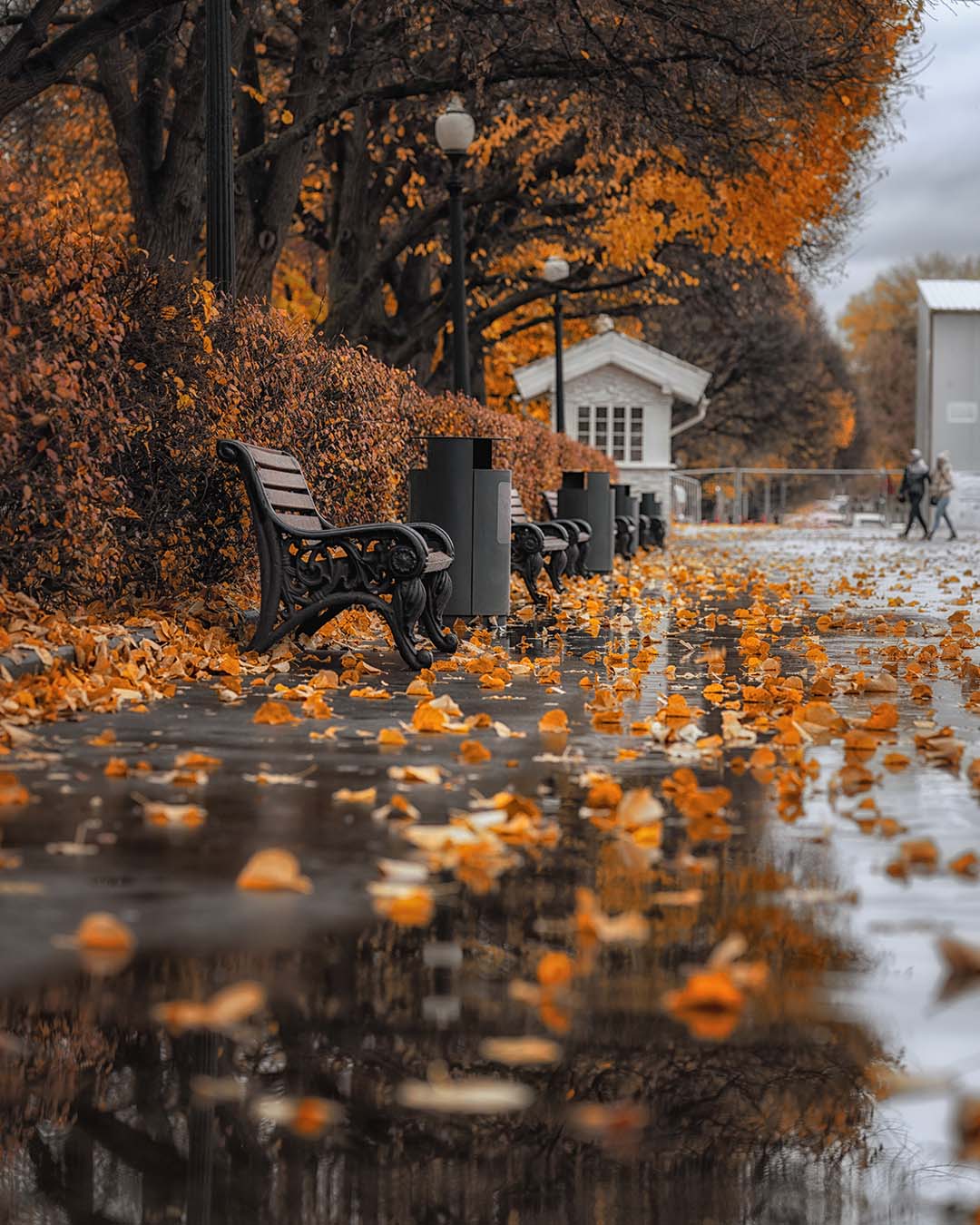Осень в парке