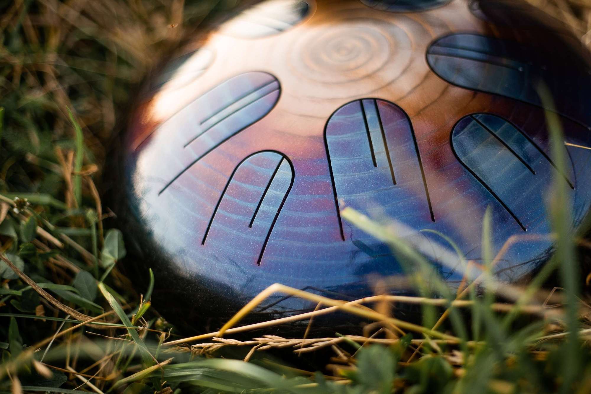 Тритон 30 см 10 лепестков