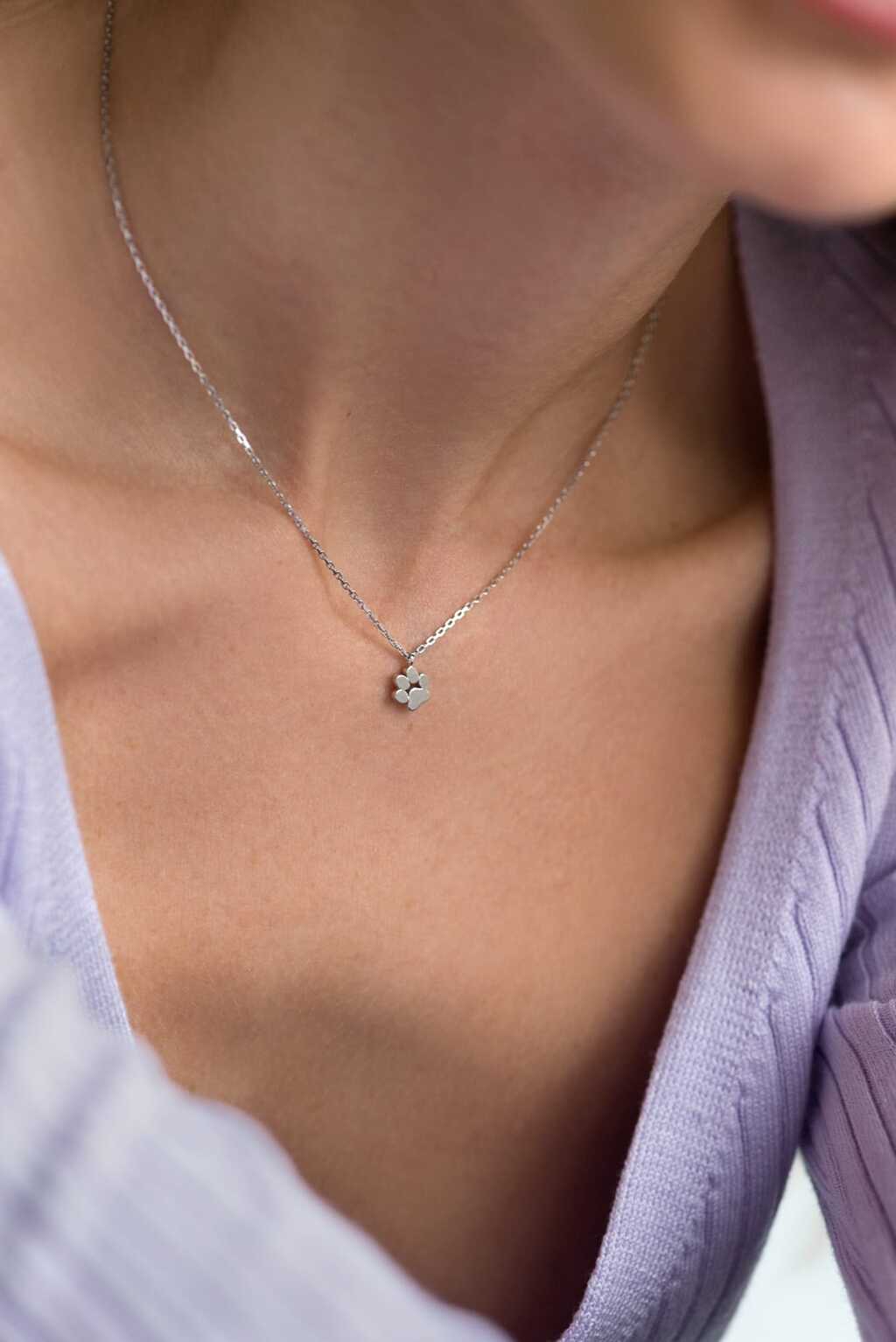 Лапа, колье (Серебро 925º)