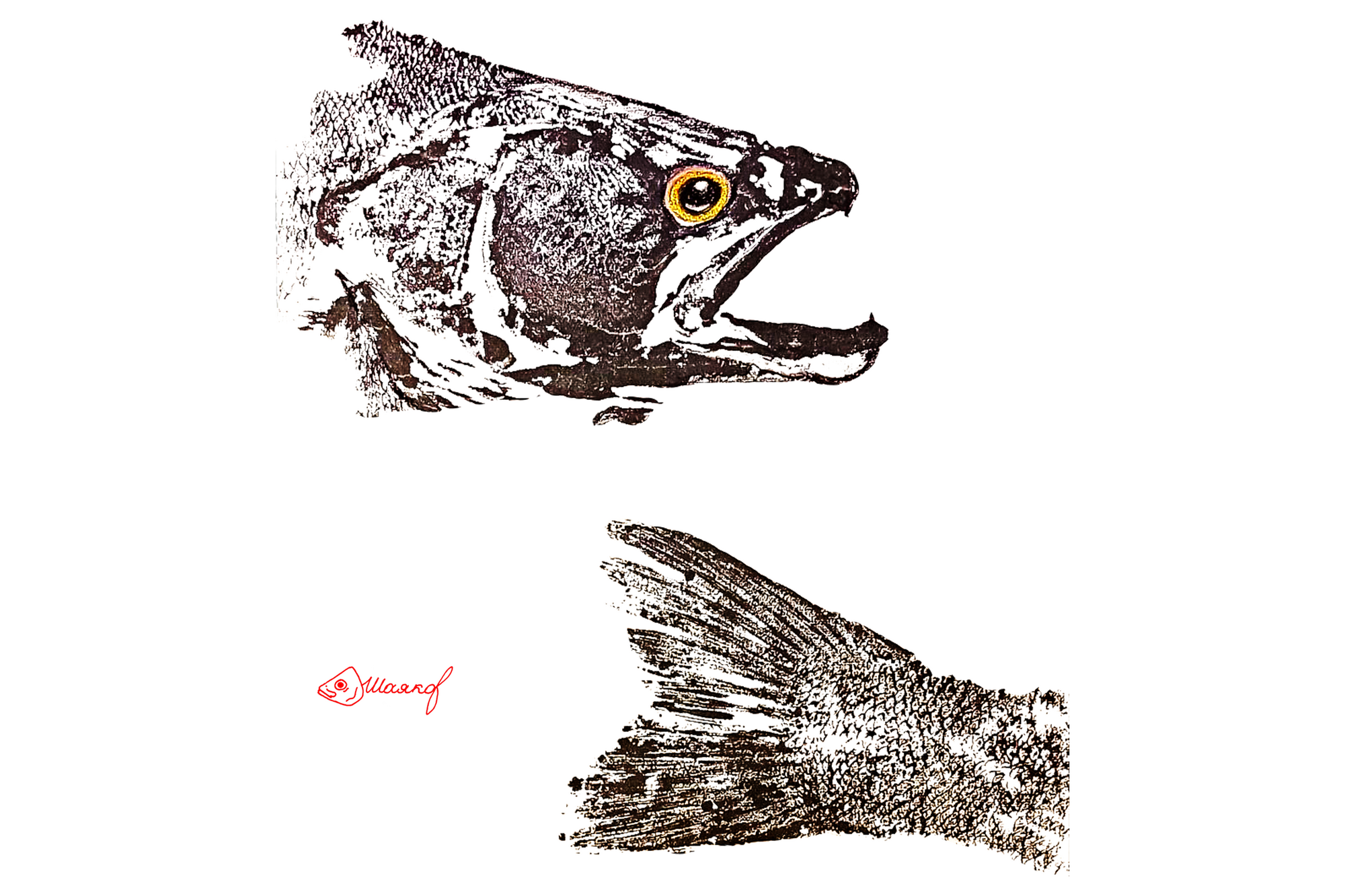 #walley#Судак#гётаку#gyotaku#японскоетрадиционноеискуство#fish#рыбасудак#рыба#рисунокрыбы#принтрыб#ink#подарокнановыйгод#чтоподаритьна23февраля#рыбак#что подарить рыбаку#японская техника печати рыбой