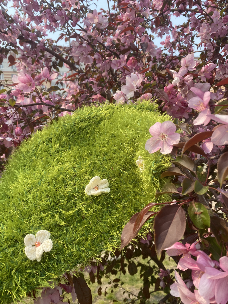 Цветочная поляна (Flower meadow)