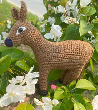 Ослик (Baby Donkey)