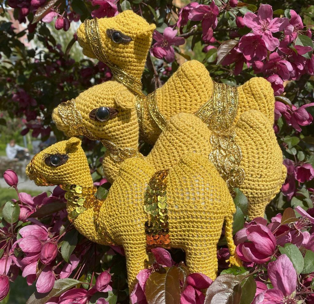 Набор из 3 МК: Camel + Сamel female +Little Сamel