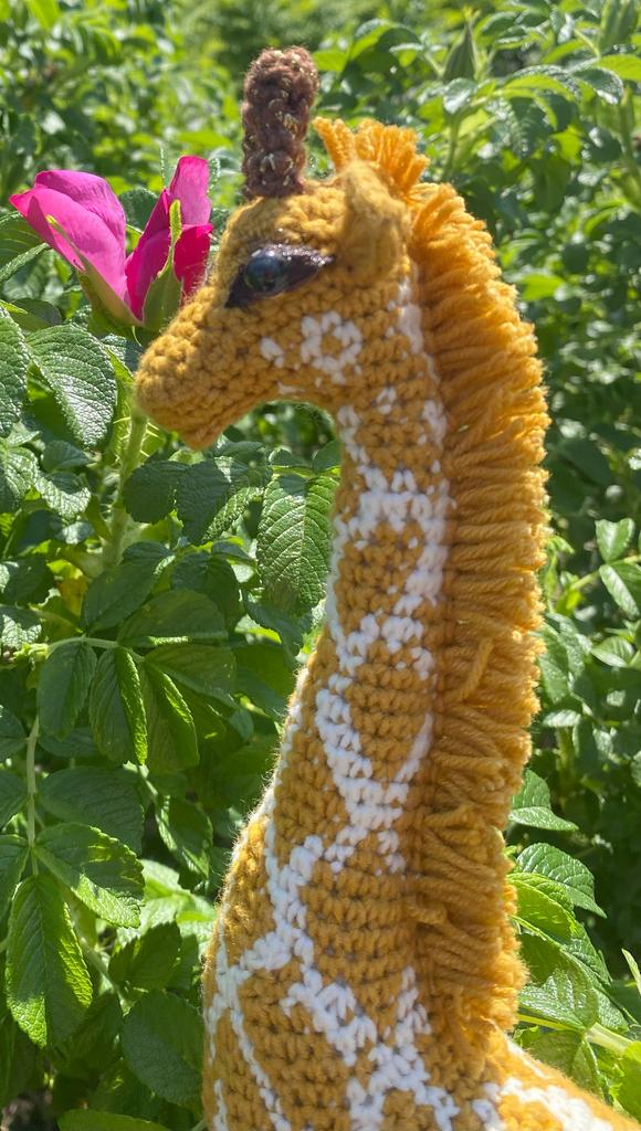 Жираф крючком (Giraffe)