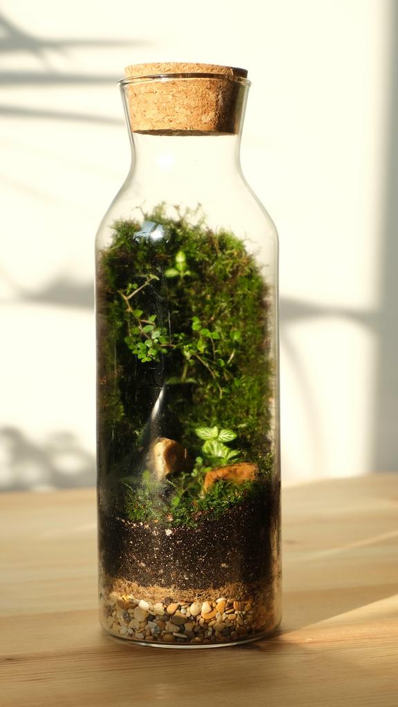 Флорариум / экосистема Bottle / Green Wall | GREEN