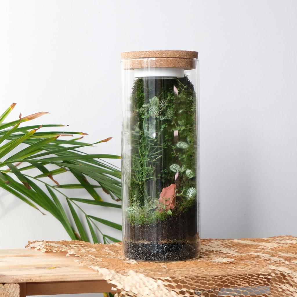 Флорариум/экосистема Tube/Green Wall light