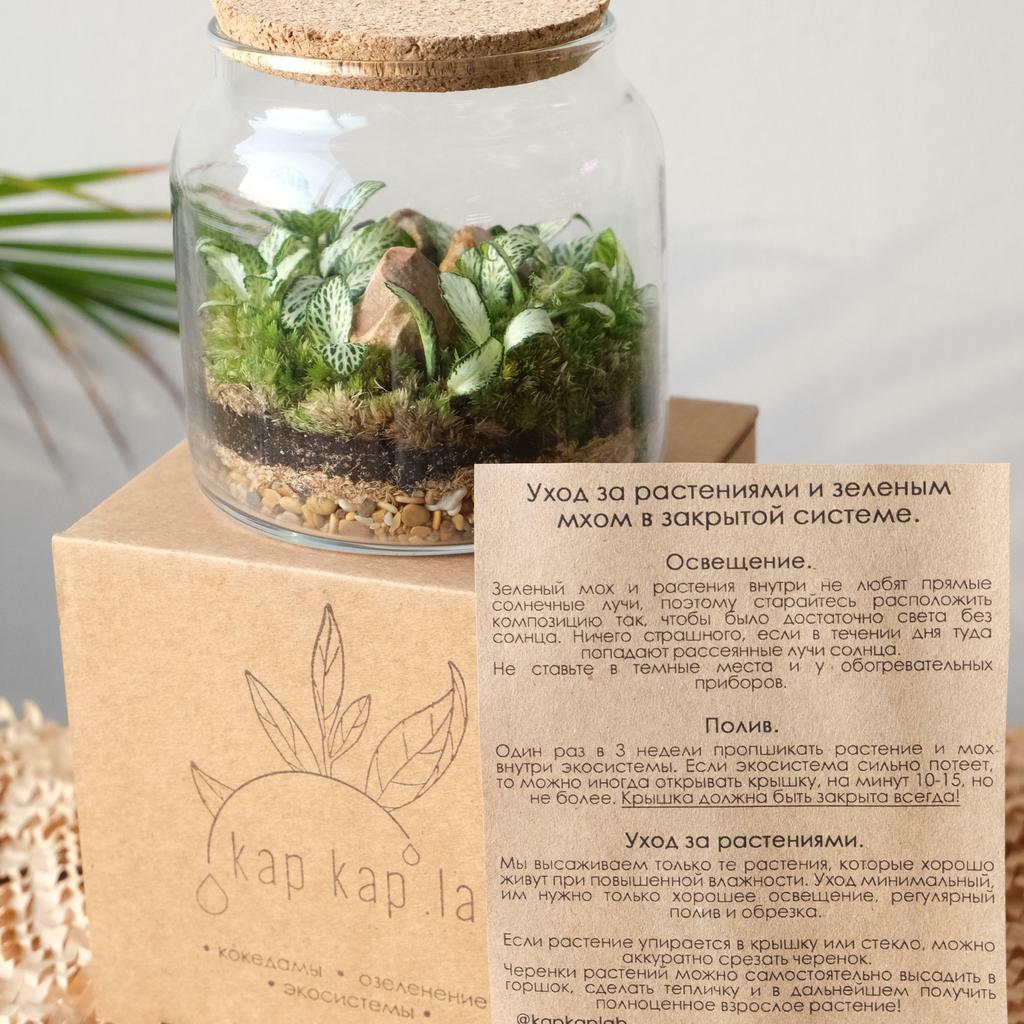 Флорариум "Сфера" Mini Garden GREEN