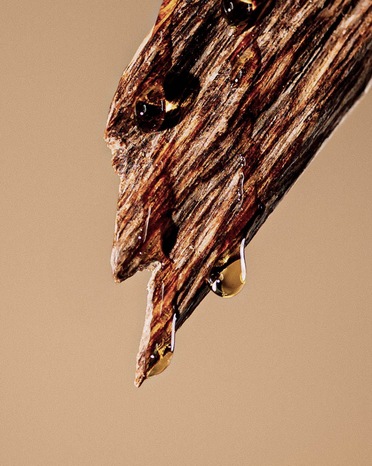 СЕТ ИМПЕРАТОРСКИЙ УД