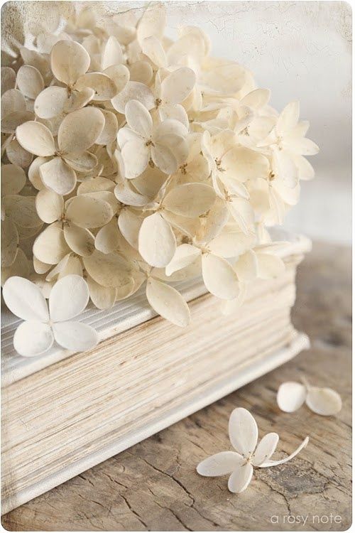 СЕТ БЕЛЫЕ ЦВЕТЫ