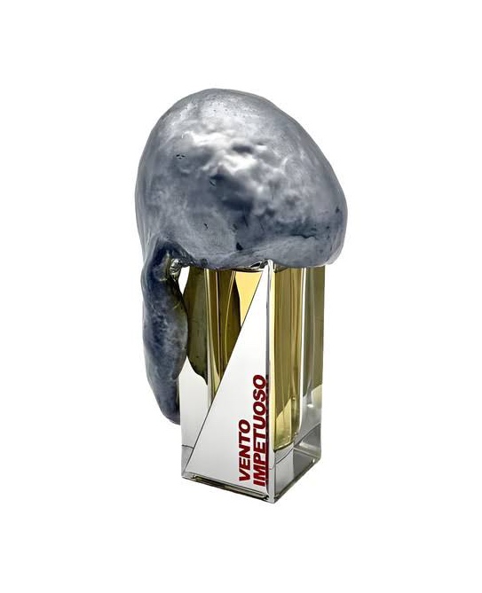 FILIPPO SORCINELLI VENTO IMPETUOSO