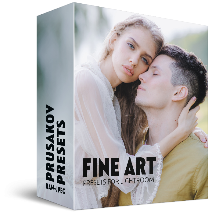FINE ART PRESET