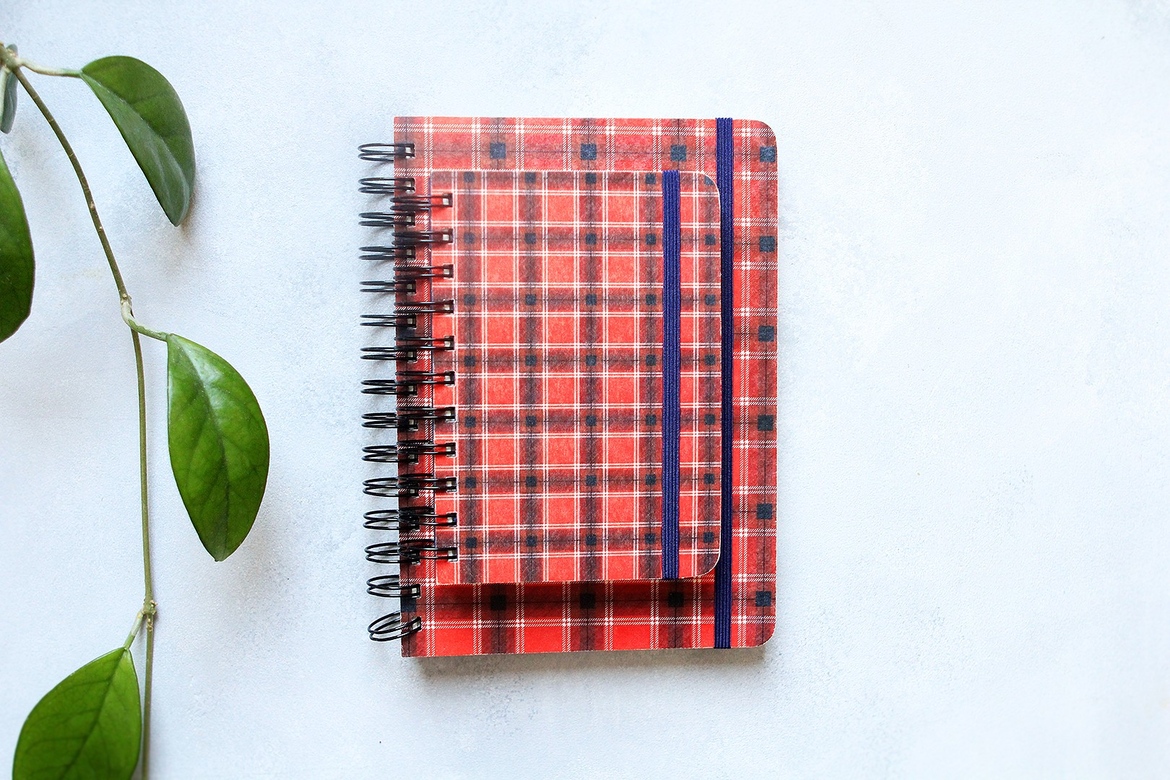 Еженедельник (шотландская клетка) - 2019