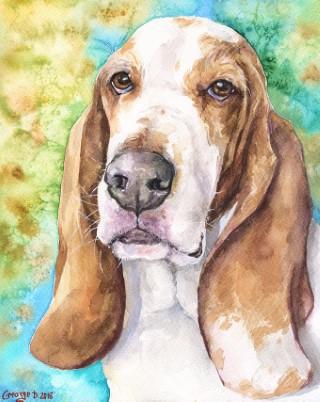 Print "Basset Hound" | Watercolor