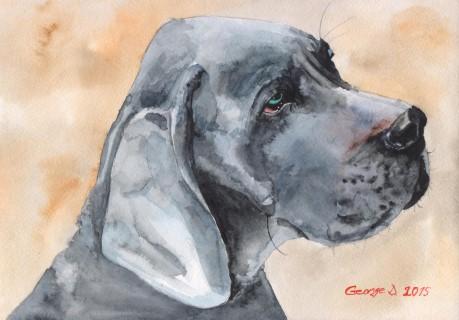 Print "Great Dane" | Watercolor