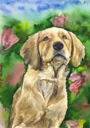 Print "Labrador" | Watercolor