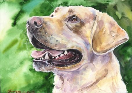 Print "Labrador" | Watercolor