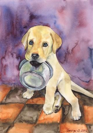 Print "Labrador puppy" | Watercolor