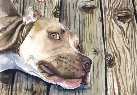 Print "Pitbull" | Watercolor