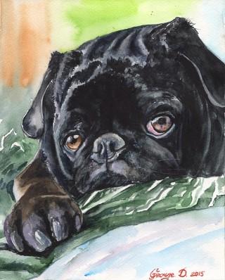 Print "Black Pug" | Watercolor