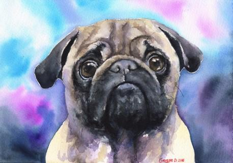 Print "Pug" | Watercolor