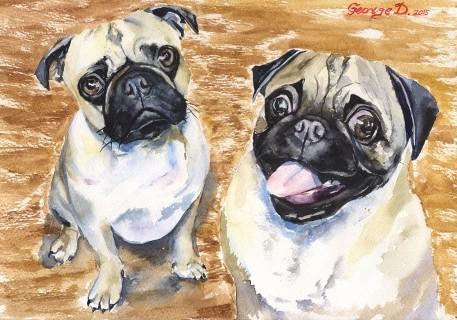 Print "Two pugs" | Watercolor