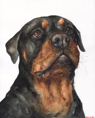Print "Rottweiler" | Watercolor